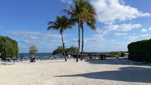 Una playa con palmeras, sillas de descanso y una vista despejada del mar.
