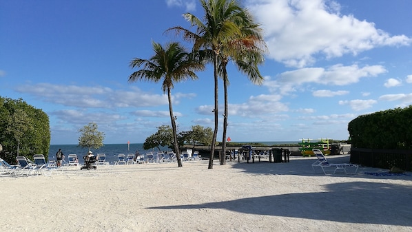 On the beach