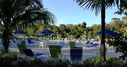 Sonderpreise ab 150 USD Suite mit Meerblick im Ocean Pointe, neu renoviert