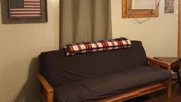 TV, DVD player, video library