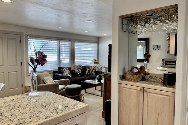 Small Bar area with Bose Bluetooth Speaker & Living room view