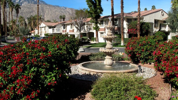 Un quartier résidentiel agrémenté d’une fontaine, d’arbustes à fleurs rouges et de grands palmiers.