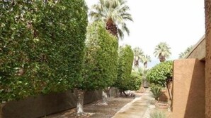 A narrow pathway flanked by dense green hedges and potted plants, leading to a building with a beige facade.