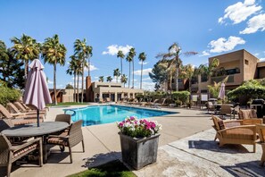 Relax by the pool surrounded by palm trees and lounge chairs.