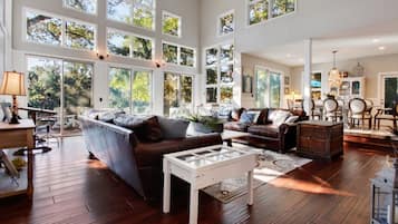 Télévision, cheminée, jeux vidéo, lecteur de DVD