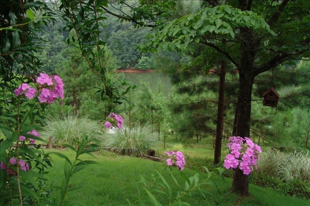 Een weelderige tuin met diverse planten en bomen, een klein vijvertje en een vogelhuis.