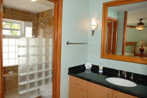 Chuveiro, secador de cabelo, toalhas de banho, shampoo