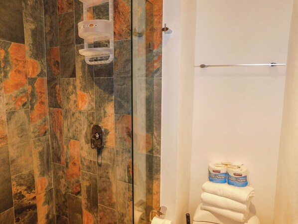 A bathroom with a glass shower enclosure, a towel rack with towels, and toilet paper on the wall.