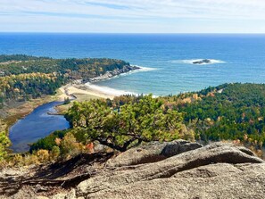 Eine Küstenlandschaft mit Strand, bewaldeten Hügeln und einem Fluss.