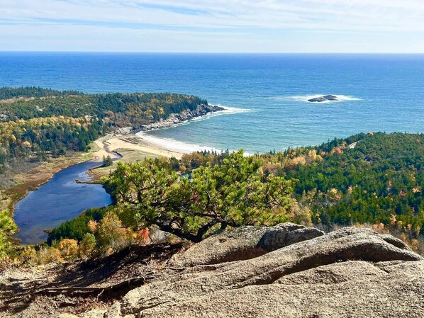 En la playa, camastros y toallas de playa 