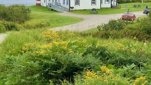 A lighthouse with a red and white striped tower next to a white building with a red roof, surrounded by greenery and a body of water. - Acadia National Park-Oceanfront Cottage-Views of Cadillac Mountain & Acadia-Pets (Lamoine)