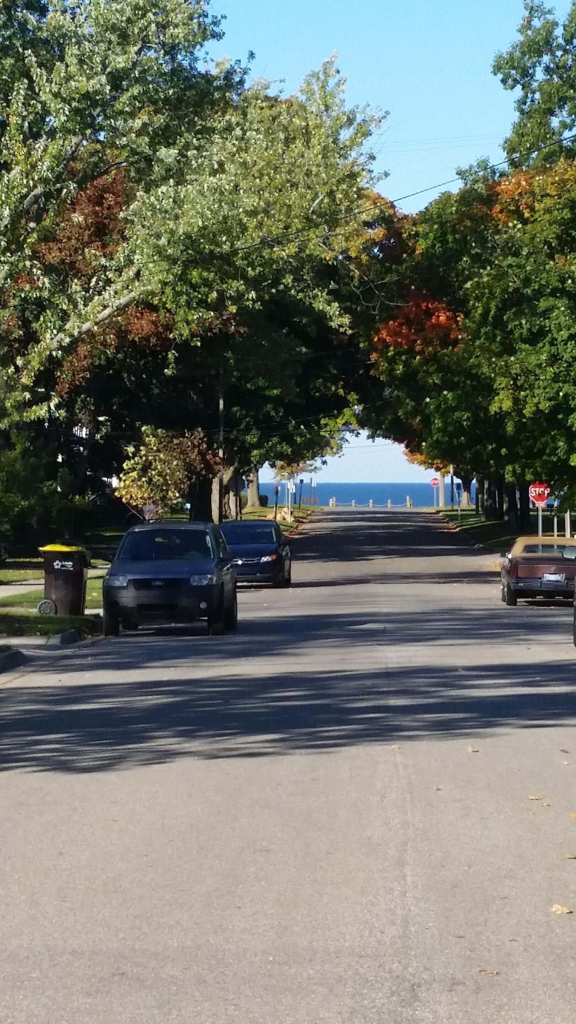 Eine von Bäumen gesäumte Straße mit parkenden Autos.