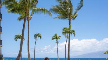On the beach, sun loungers, beach towels
