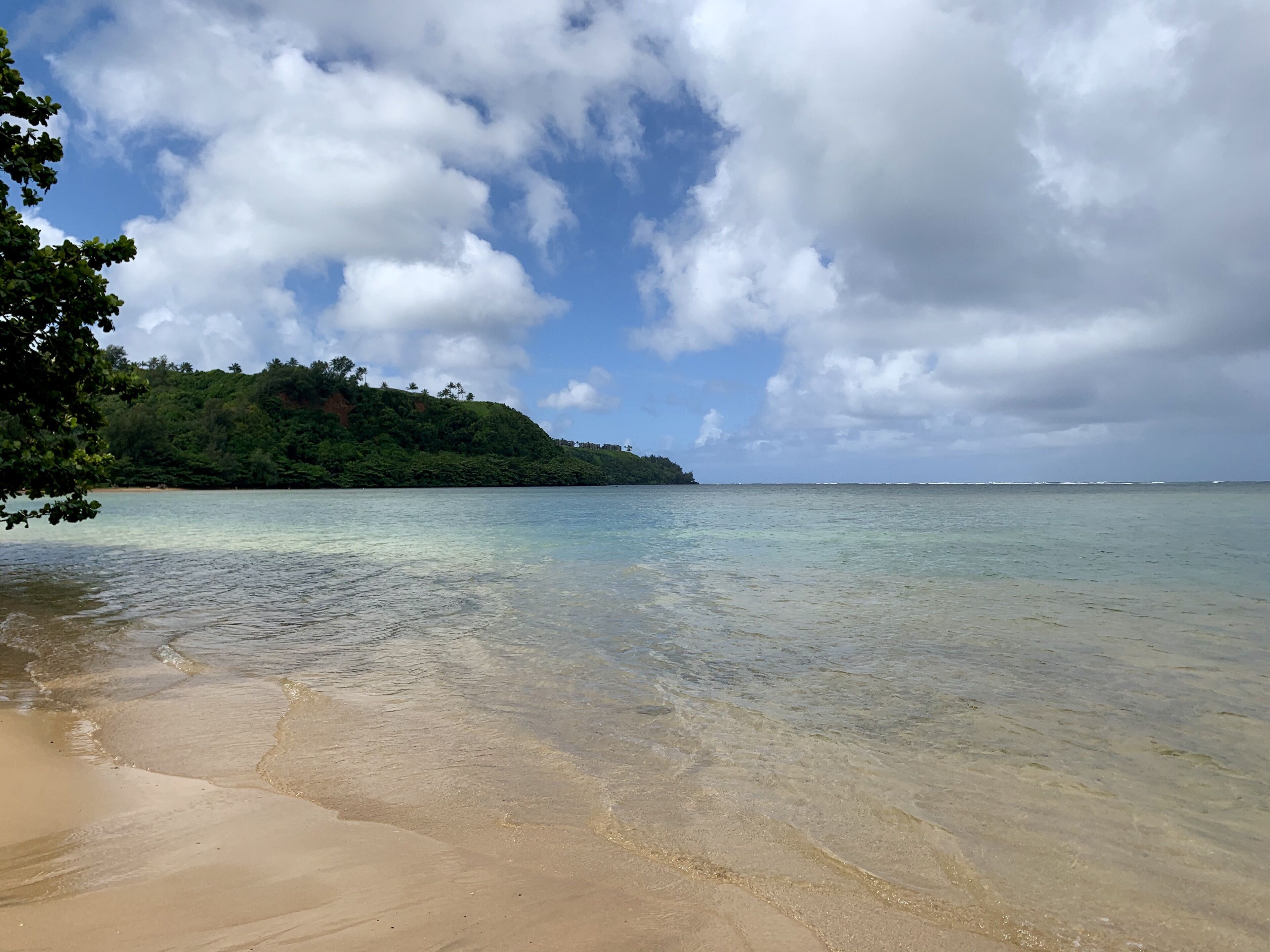 A beach with clear shallow waters, a sandy shore, and a forested hill in the background.