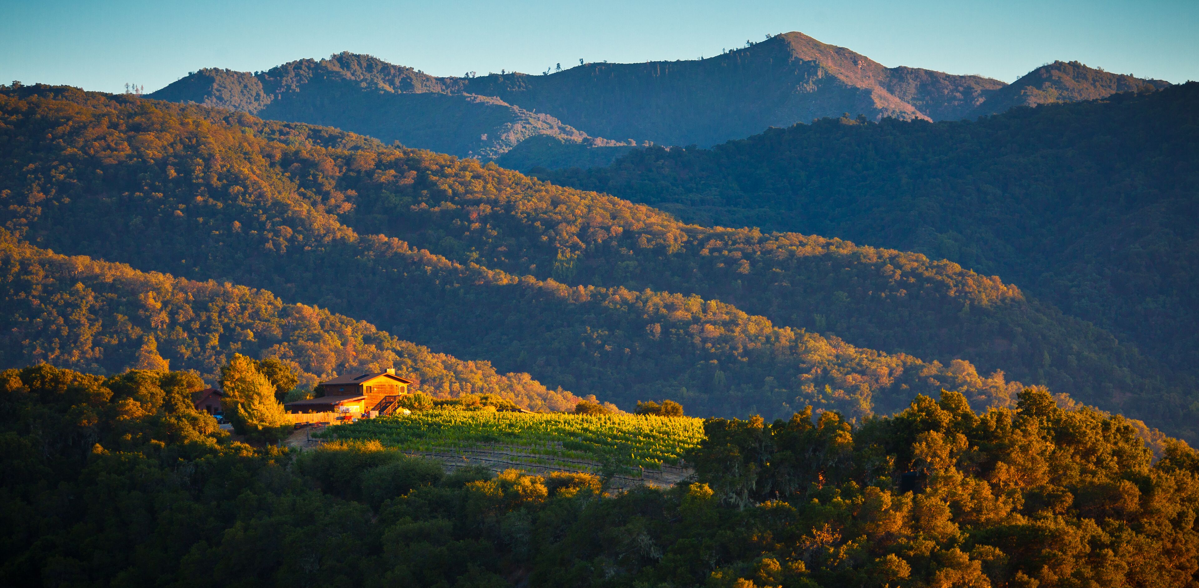 Vineyard Cottage with Stunning Views