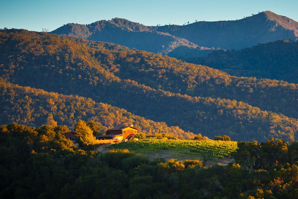 Vineyard Cottage with Stunning Views