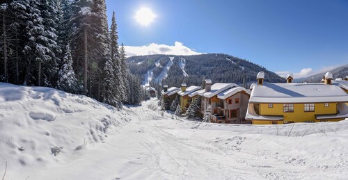 Immaculate. Close to Lifts & Village. Ski-in Ski-Out. Private hot tub.