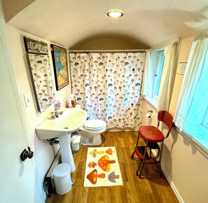 Combined shower/tub, hair dryer, towels, toilet paper - Inhabit A Hobbit House! (Charlevoix)