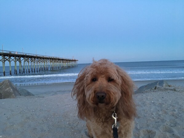Beach - Bob's Island retreat (Carolina Beach)