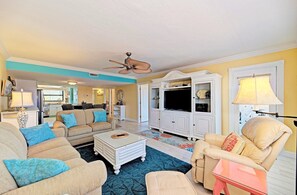 Älytelevisio, DVD-soitin, kirjoja, videokirjasto