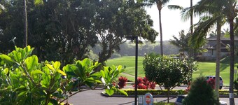 Mooi 2/2 herenhuis in Princeville, gratis WiFi, kabel-tv en meer