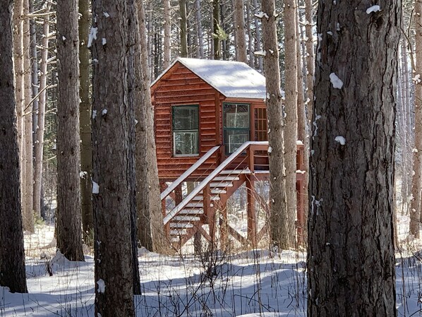 Uma cabana de madeira com uma escadaria que leva à entrada, rodeada por árvores e neve.