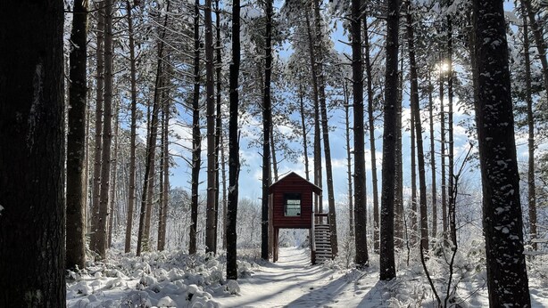 A wooden cabin in a snowy forest with a clear path leading to it. - Vacation Rental in Westfield/Oxford, Wis., with acres of nature … (Oxford)
