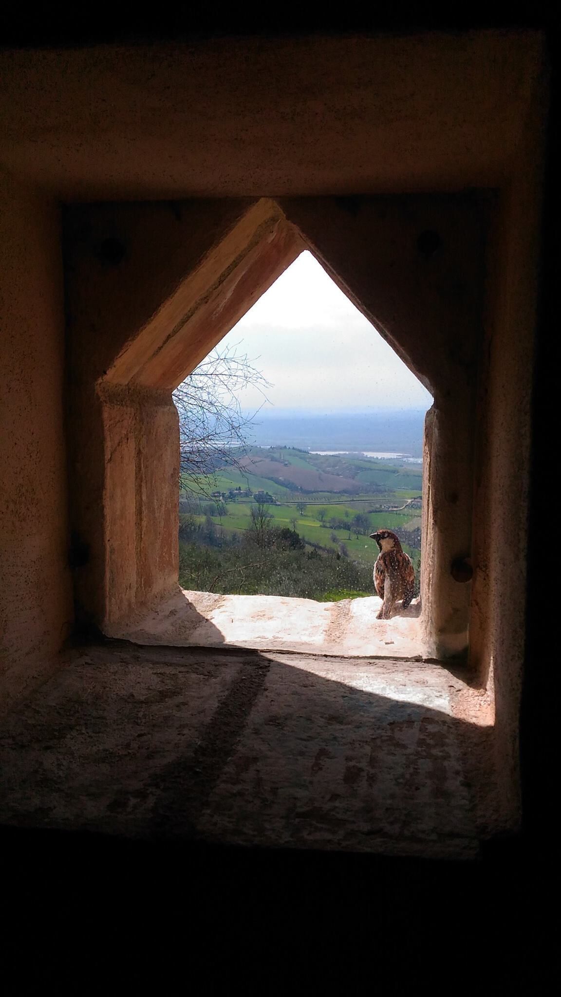 Exclusive Villa & Pool in the Olive Groves - 1 Hour to Rome, 20 Min. to Orvieto