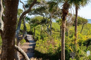 Property grounds - 1 BR with Ocean Views from Bed! Love Kiawah? Love your Accommodations! (Kiawah Island)
