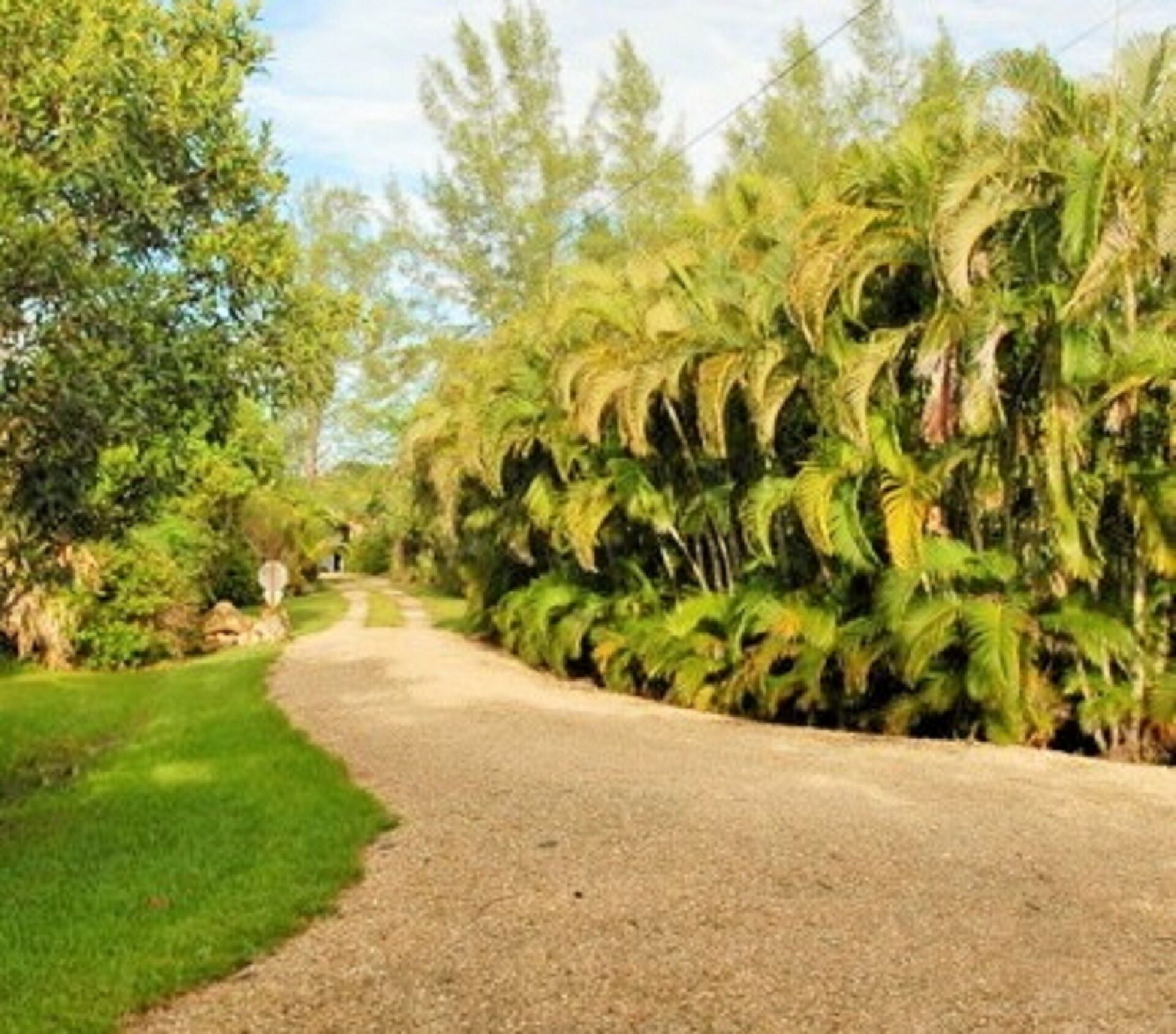 Tropical Sanibel cottage, walk to beach, perfect sunrises, pet friendly!