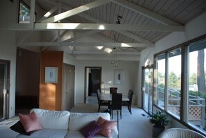 TV, fireplace, DVD player, books