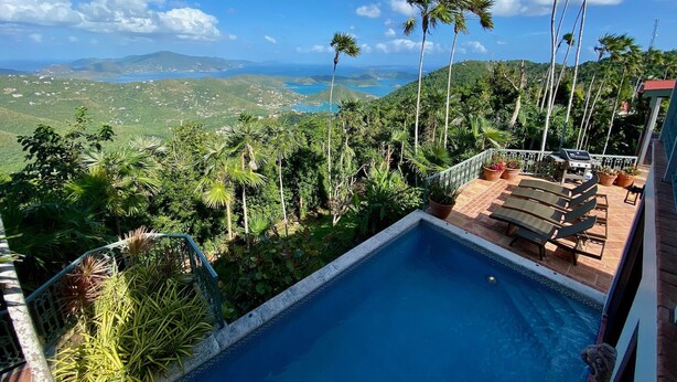 A pool with a view of a coastal landscape, surrounded by palm trees and a mountainous backdrop.