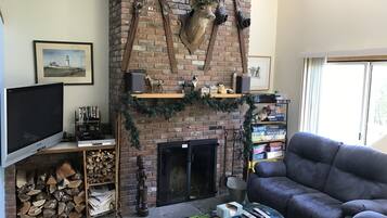 TV connectée, cheminée, lecteur de DVD, chaîne hi-fi