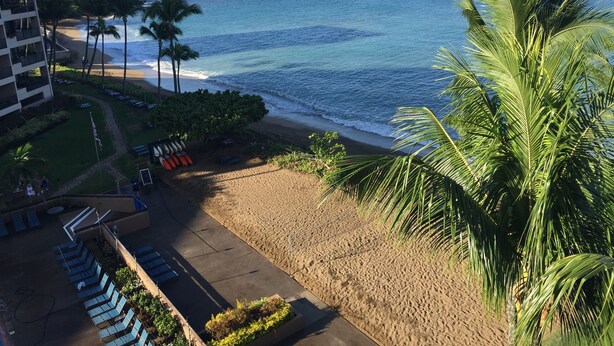 Vista de la playa con un edificio, palmeras y cielo despejado.