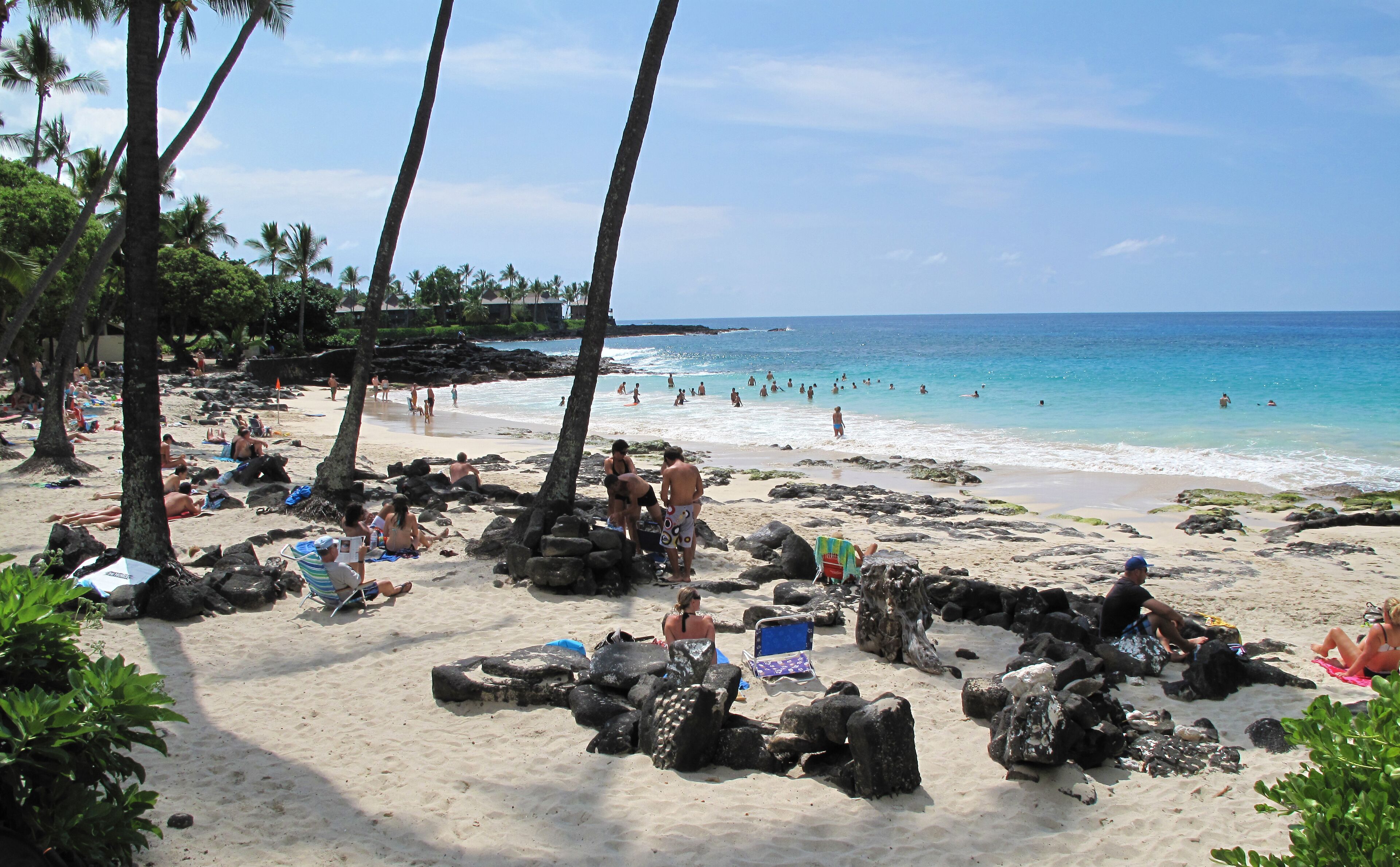 A beach with palm trees, rocky areas, and people sunbathing.