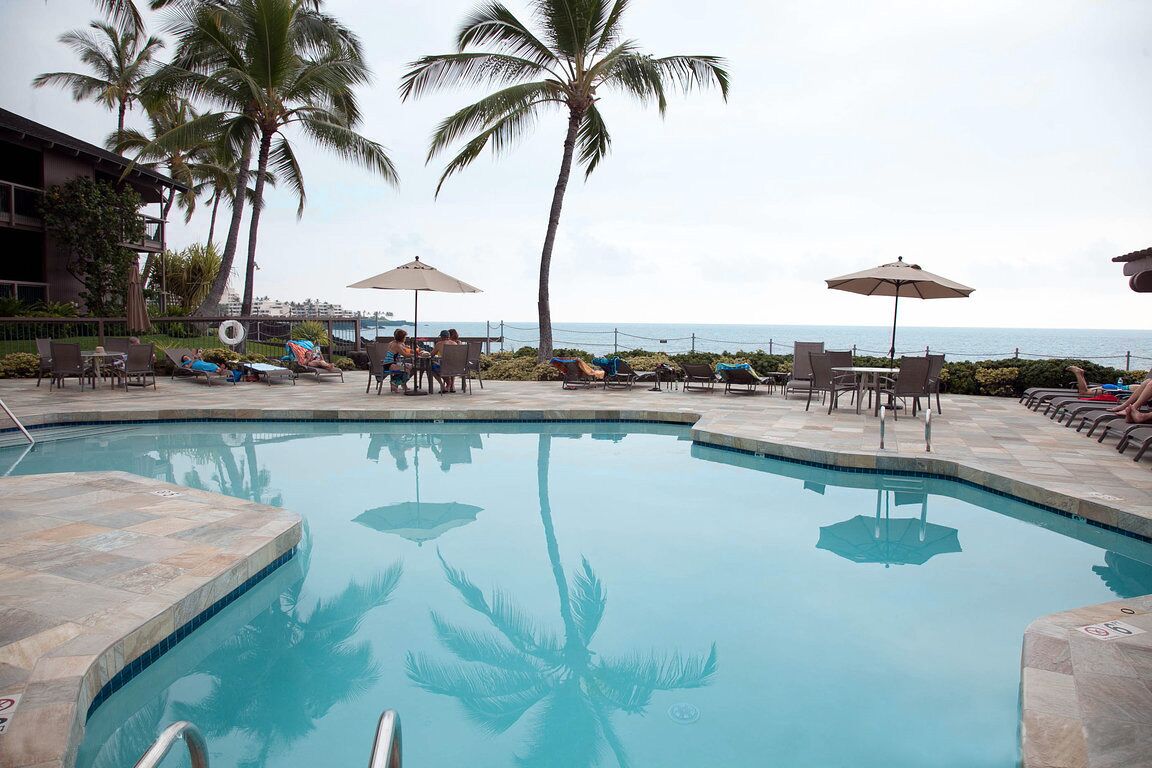 Un espace piscine aménagé avec des chaises longues et des parasols, des palmiers et une vue sur l’océan.
