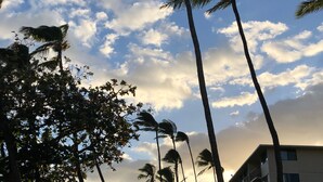 A view of a hotel with multiple floors, surrounded by palm trees and a grassy area with lounge chairs. -  Crew Rest Maui - 2BR/2BA, Oceanfront, Superior Views, A/C, sleeps 6 (Wailuku)
