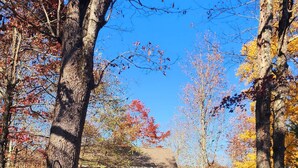 A rustic house surrounded by autumn trees. - The Mountains are calling for You and Yours!
      (Cleveland)