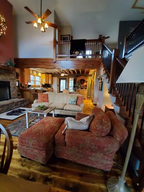 TV connectée, cheminée, lecteur de DVD, vidéothèque