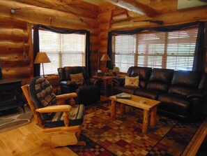 Smart TV, fireplace, DVD player, books