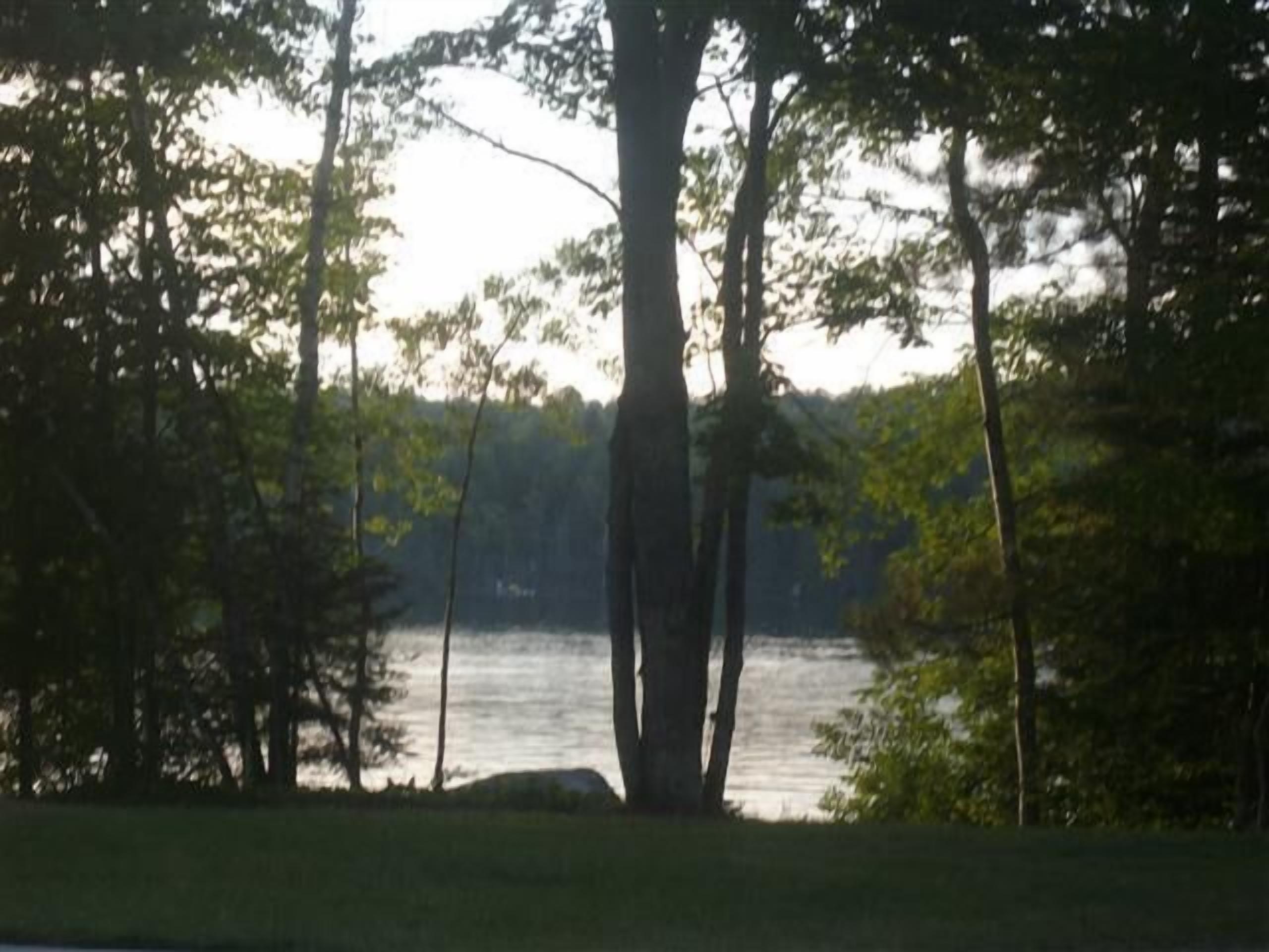 A natural landscape with a body of water, surrounded by trees and a grassy area.