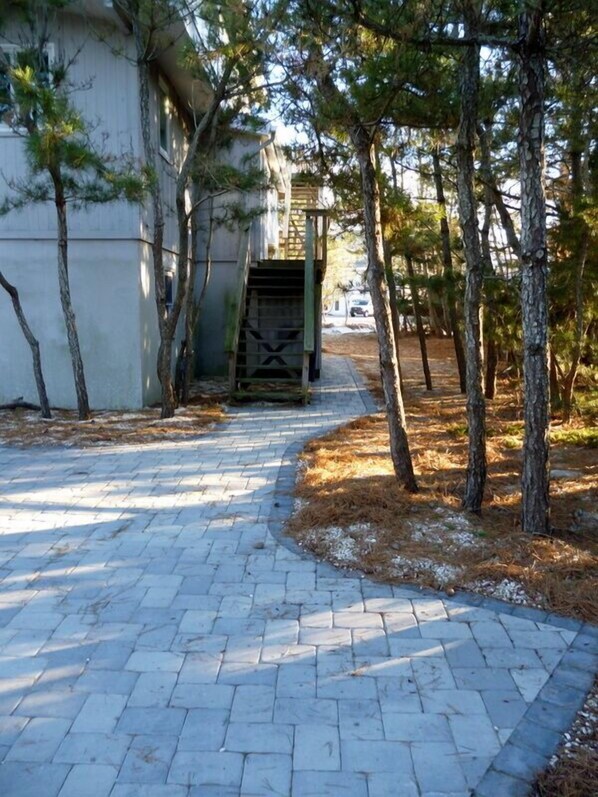 Un sendero pavimentado que conduce a un edificio con puerta verde, rodeado de árboles y cielo despejado.