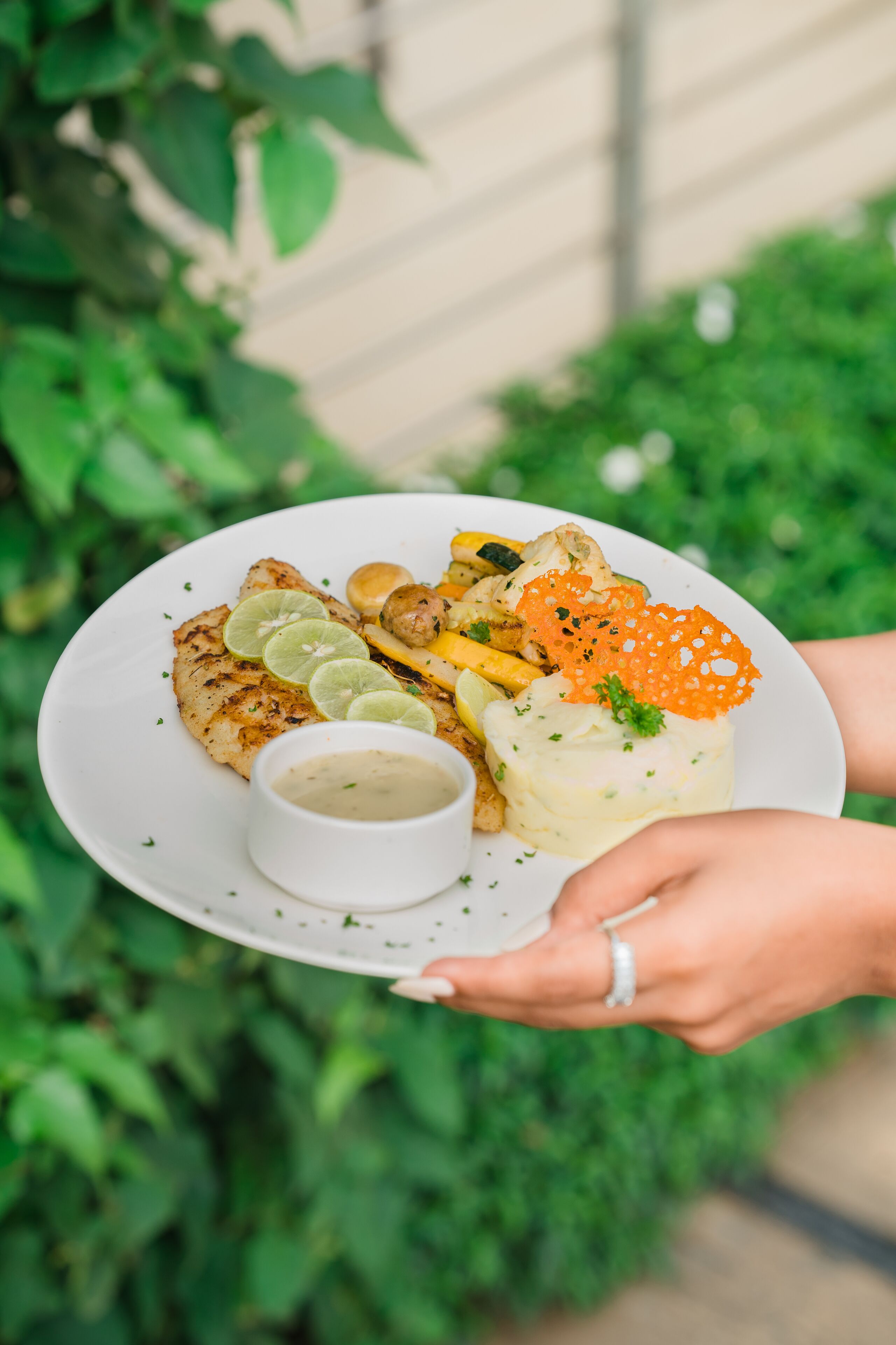 Una persona sosteniendo un plato con comida, que incluye un filete de pescado, verduras y un pequeño recipiente con salsa.