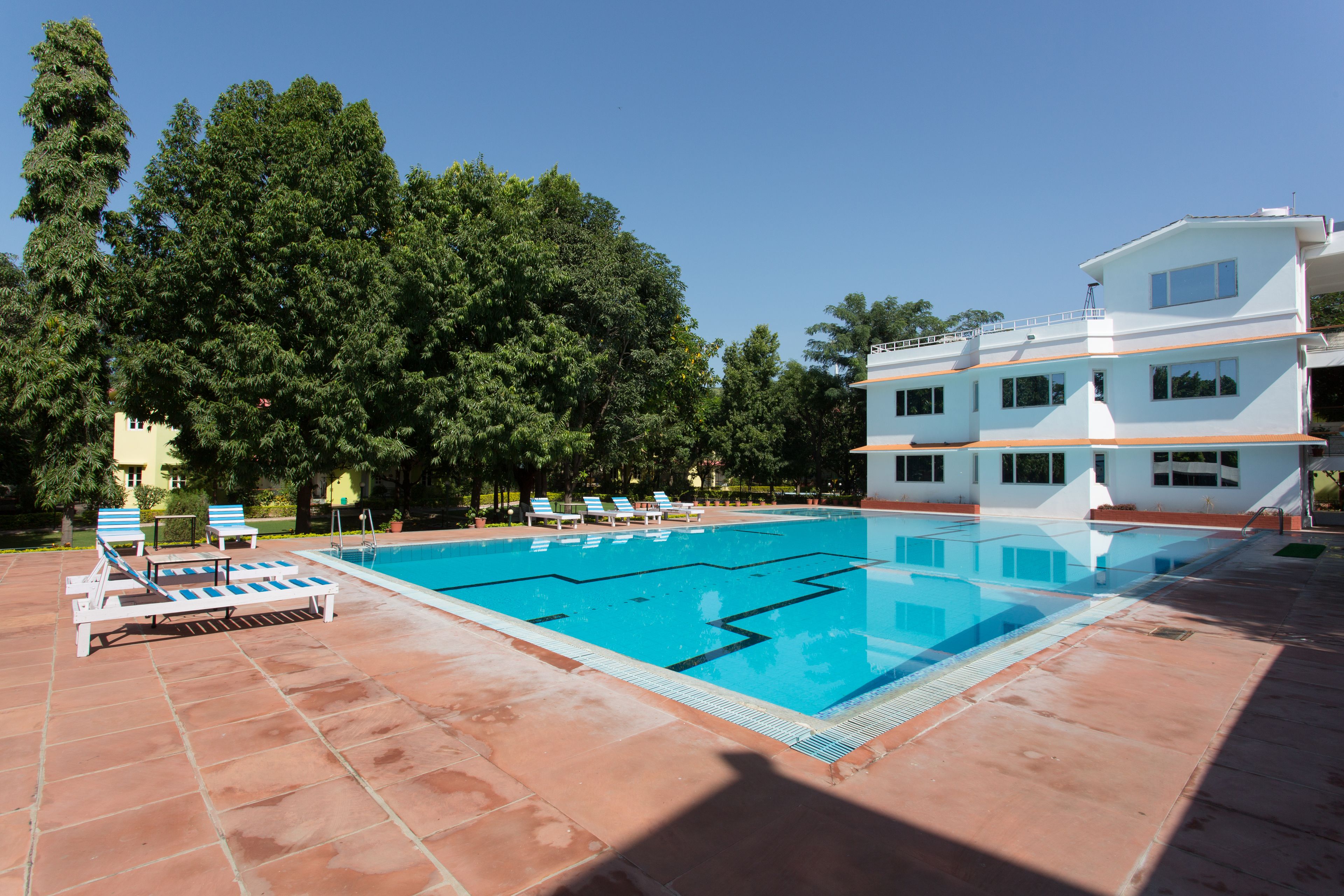 Outdoor pool, pool umbrellas, pool loungers