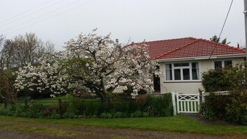 Wharerata in spring.