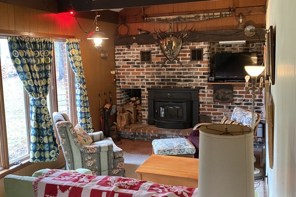 Smart TV, chimenea, videojuegos y reproductor de DVD