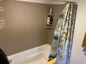 Ensemble douche/baignoire, sèche-cheveux, serviettes fournies, savon