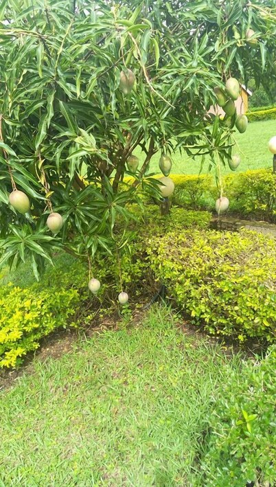 C & G Heritage Cottage