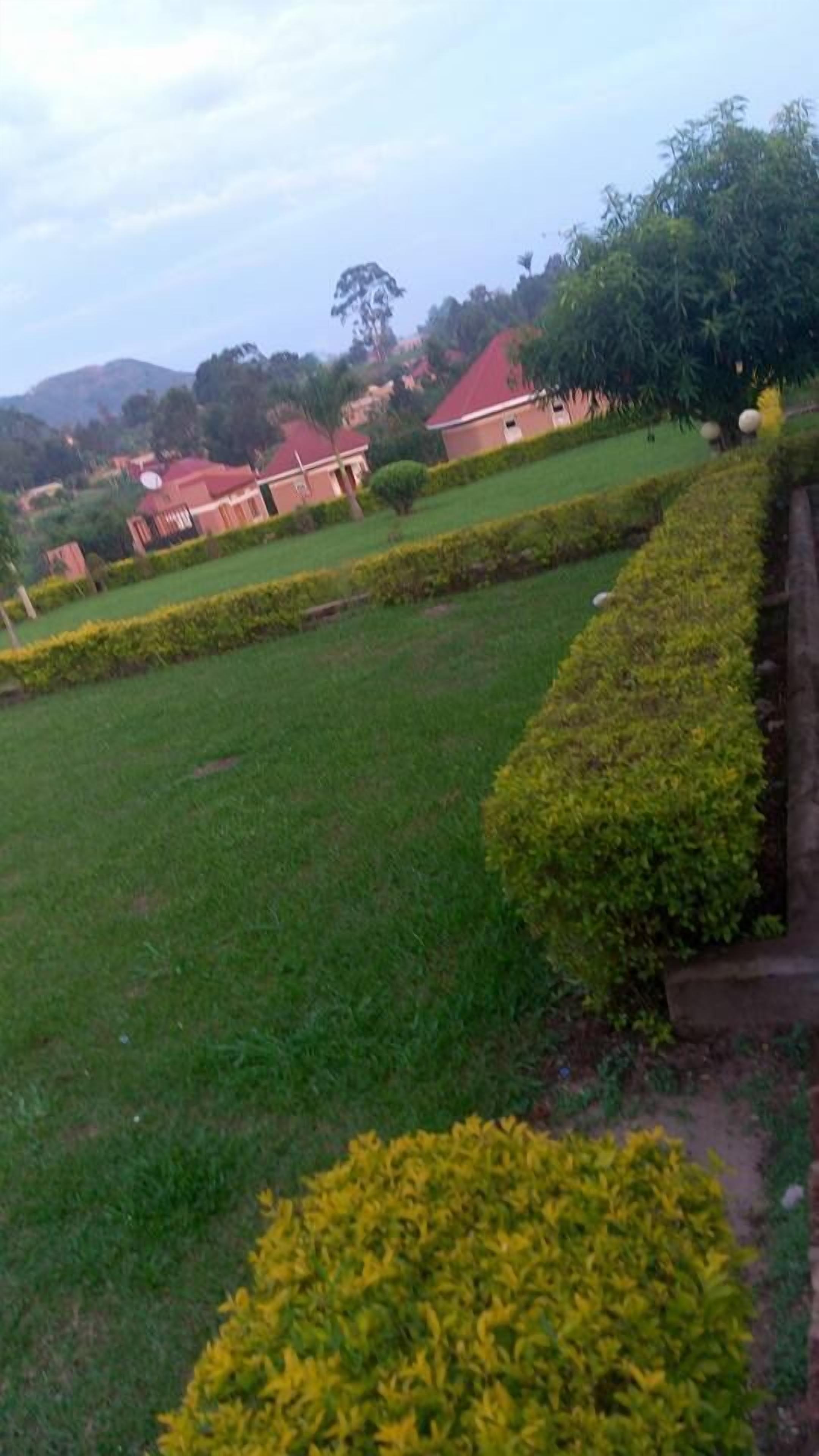 A landscaped area with neatly trimmed hedges, a grassy field, and a building with a red roof in the background.
