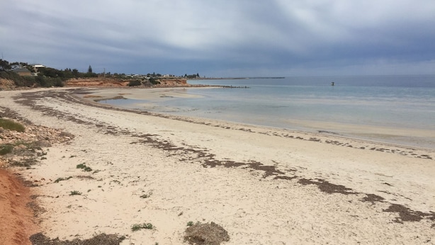 A sandy beach with a rocky shoreline, a pier extending into the water, and houses in the background. - Lane-way Holiday Rental -3 Minutes walk from the beach (Moonta Bay)
